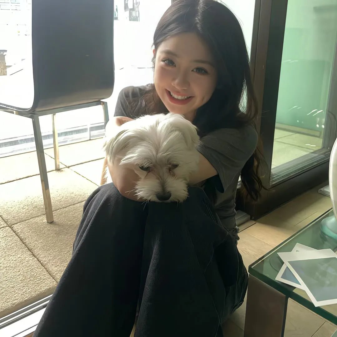 七鹰大厦宝藏